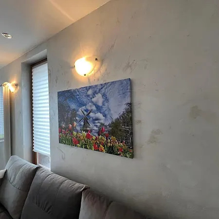 Tulip Aparts Apartment *